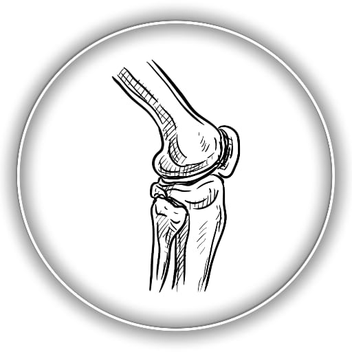 bones and joints